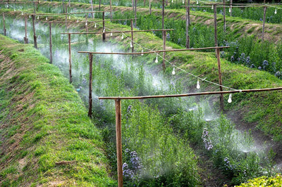 HAVESPRINKLER 20meter / 20 DYSER - We Do Better