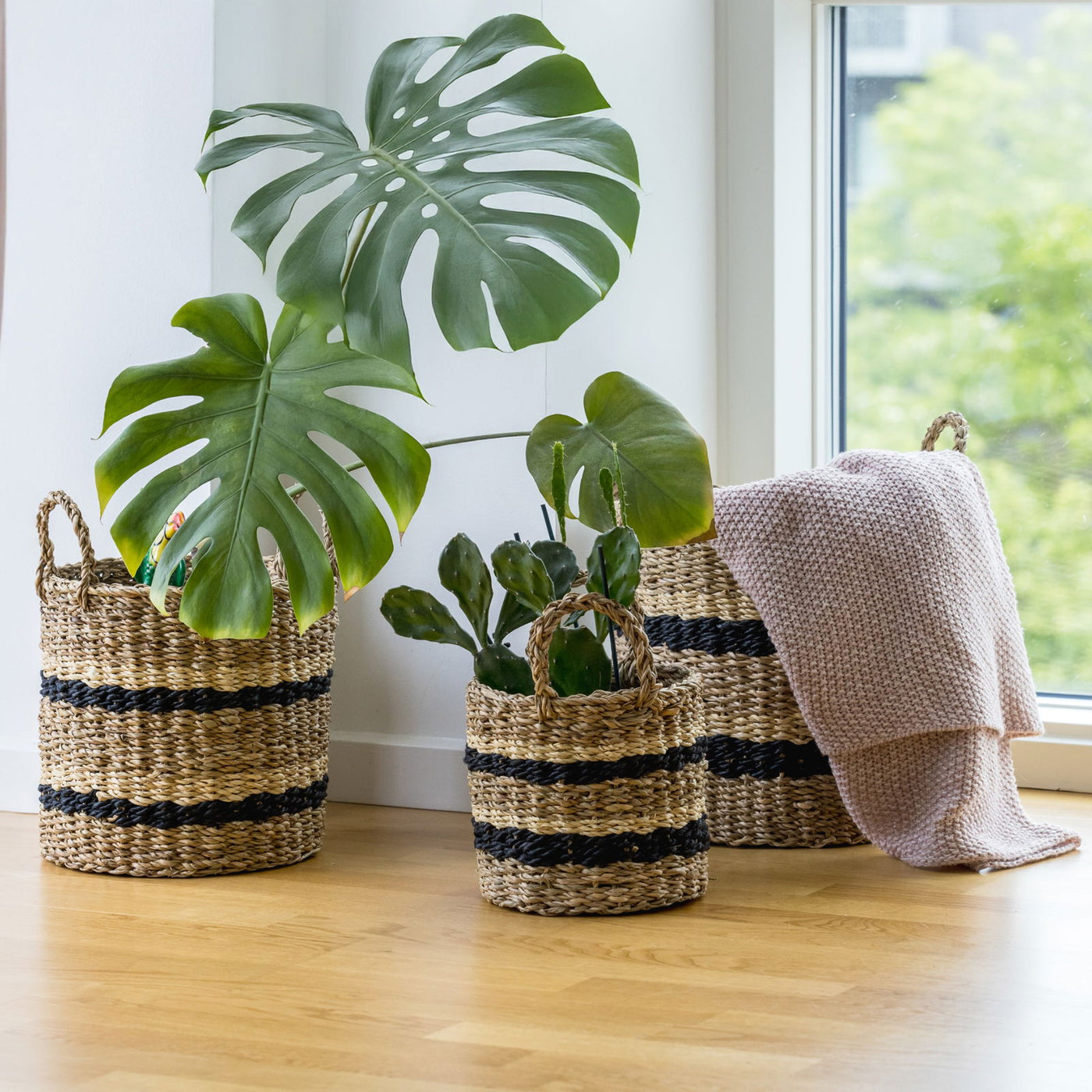 Kurvesæt 3 stk i Søgræs med Dekorative Striber