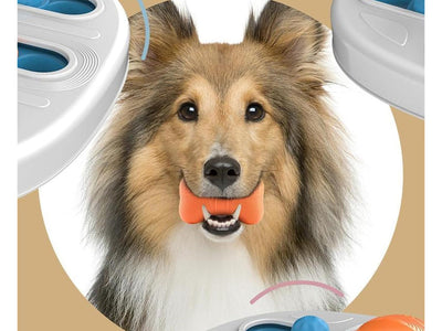 Aktiveringslegetøj til Hunde og Katte med Puslespil & Tyggefunktion