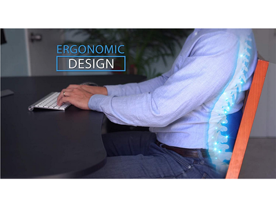 Ergonomisk Lændestøttepude i Memory Skum