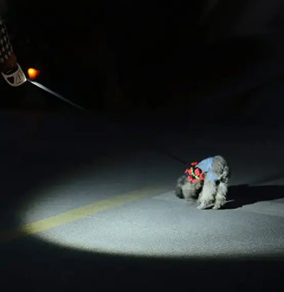 Hundesnor med LED lommelygte - We Do Better